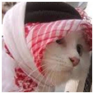 I like tactical and useful items.